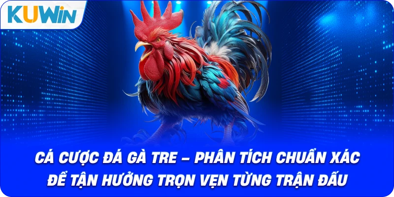 Cá Cược Đá Gà Tre – Phân Tích Chuẩn Xác Tận Hưởng Trọn Vẹn